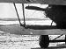 Pfalz D.IIIa (ex-Jasta 37) late style bottom wing tip detail (Greg VanWyngarden)
